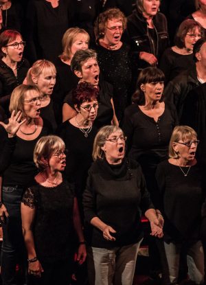 Rockchor 60+ singt auf einem Auftritt